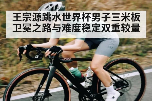 王宗源跳水世界杯男子三米板卫冕之路与难度稳定双重较量 | jiuyou